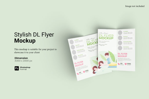 Stylish Bifold DL Flyer Mockup